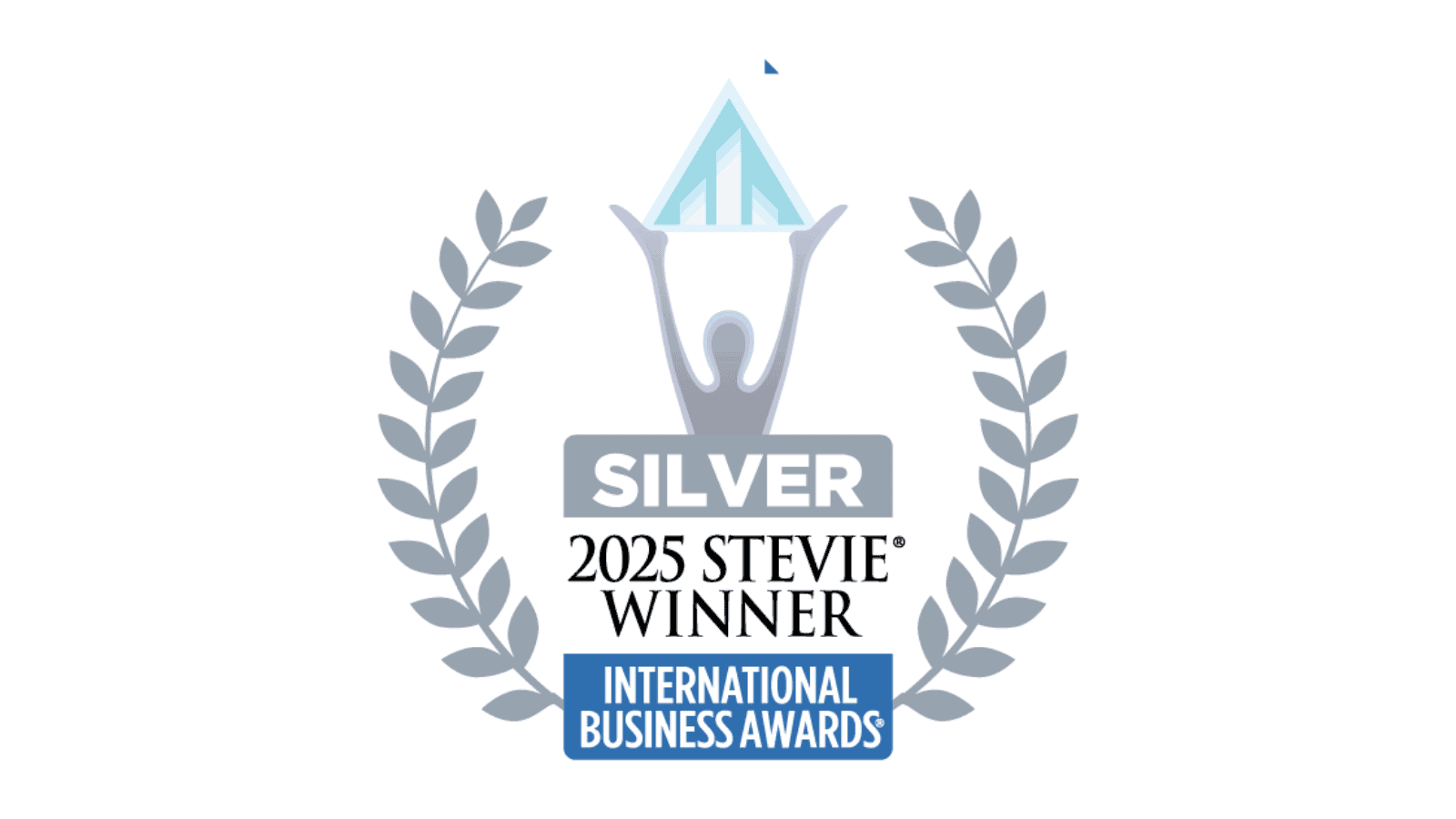 A 2025 Silver Stevie® Award